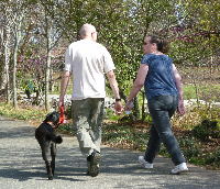 seniors waling in the park